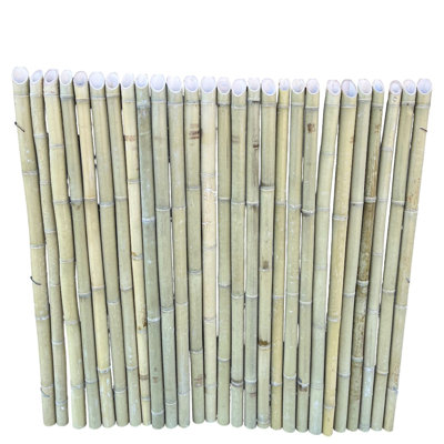 Clôture en bambou Spear Top