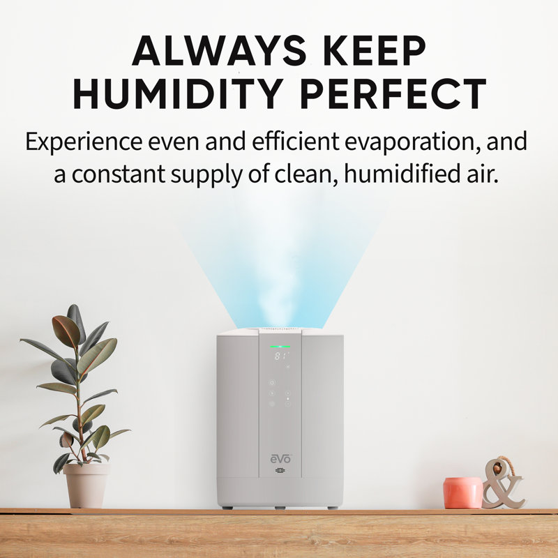 Evo White Evaporative Tabletop Humidifier with Digital Monitoring
