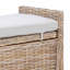 Rattan Storage Bench-1107979843