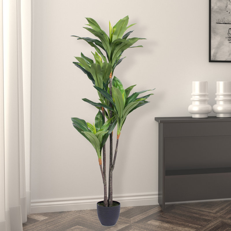 Elegant Silk Touch 63" Dracaena Outdoor Potted Floor Plant