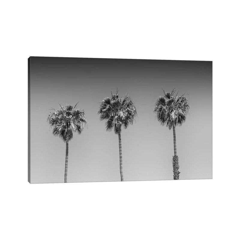 Minimalistic Palm Trees | Monochrome by Melanie Viola - Wrapped Canvas Print, 20.32 cm H x 30.48 cm W