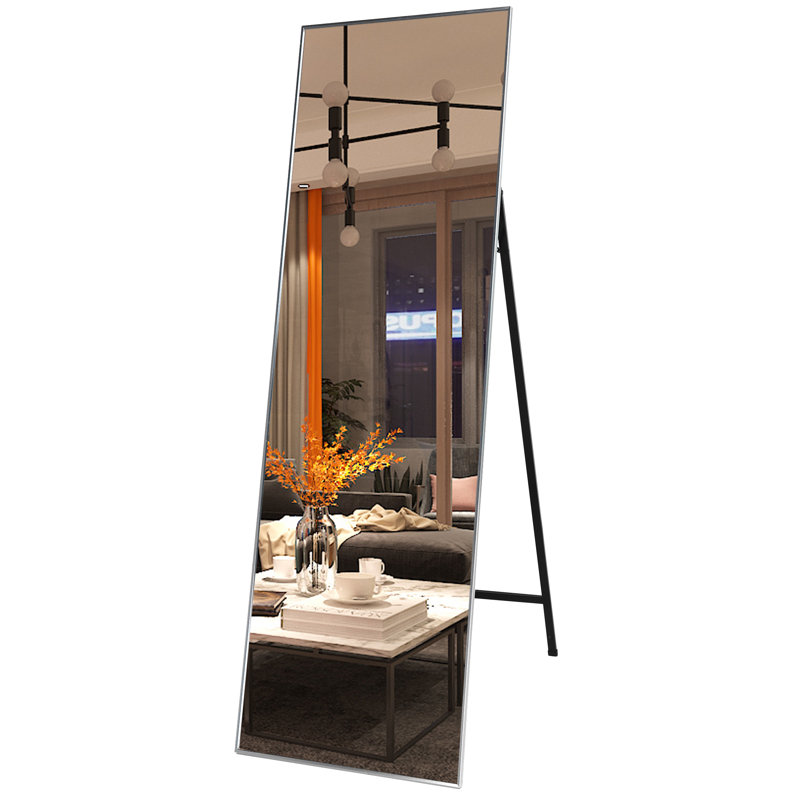Miroir pleine grandeur Asalonis, 63 po x 20 po