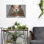 "Marmotte" par Jeannine Saylor-1834648759