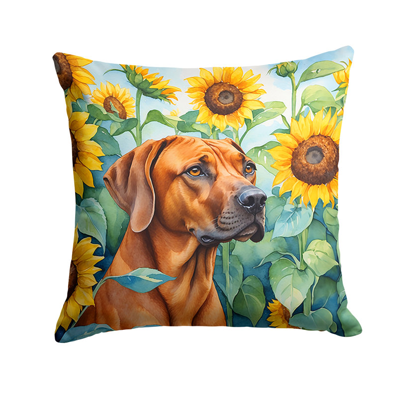 Coussin décoratif intérieur / extérieur Autre / Sans motif, H 18 po x l 18 po