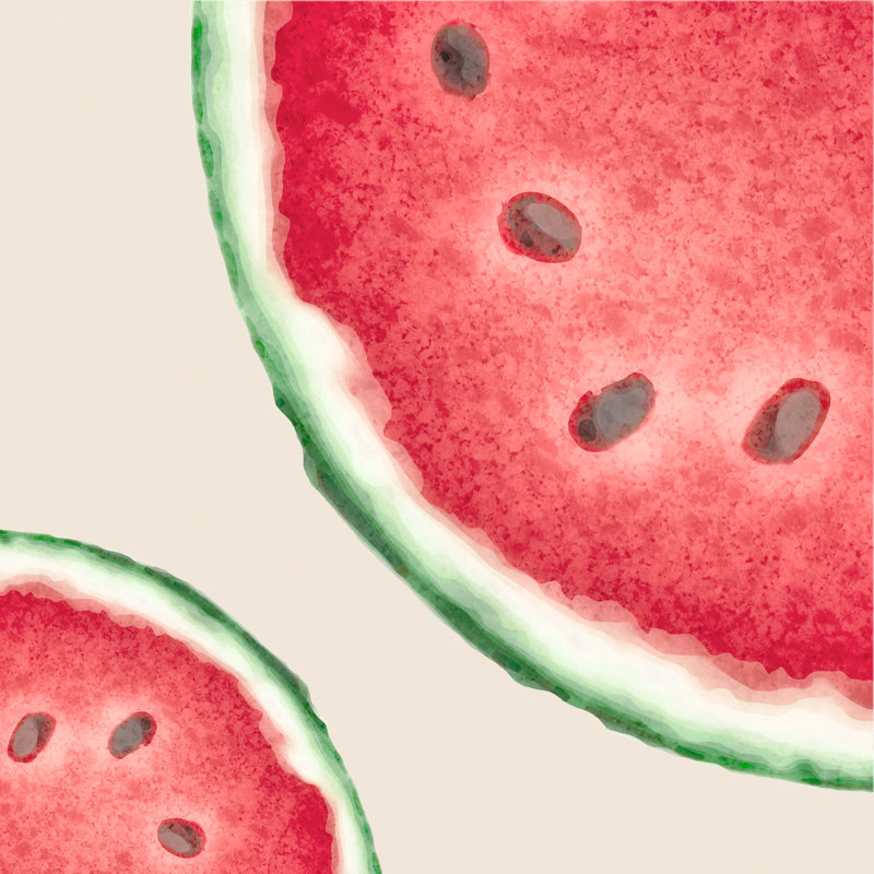 Melon d'eau juteux II, H 12 po x l 12 po