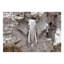 Murale lisse-1034035127