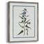 Shabby Elegance Botanical I, reproduction encadrée - bois massif 46719-1974952716