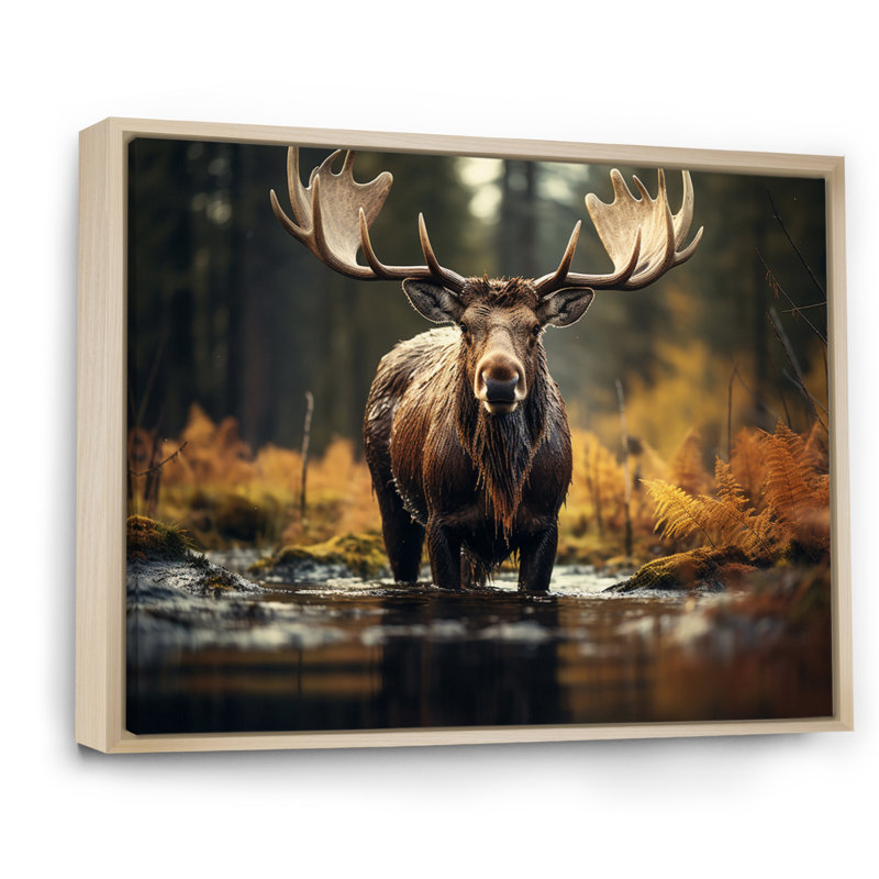 «Canada Majestic Moose III», art mural Canada large, H 30 po x l 40 po x P 1,5 po, Cadre flottant érable