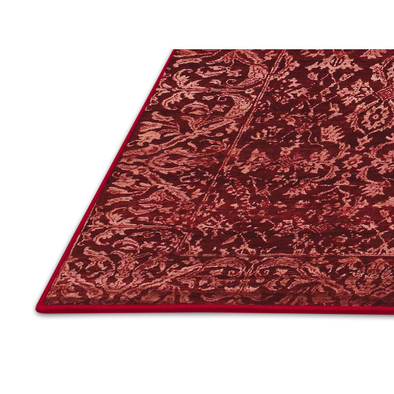 Corrstown Performance Oriental Indoor Rug, Rectangle 5' x 7'
