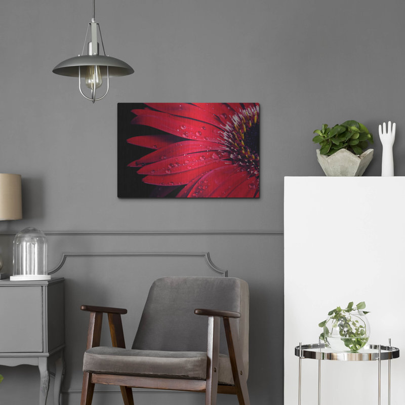 Gerbera rouge avec gouttes d'eau 03 par Tom Quartermaine, H 16 po x l 24 po