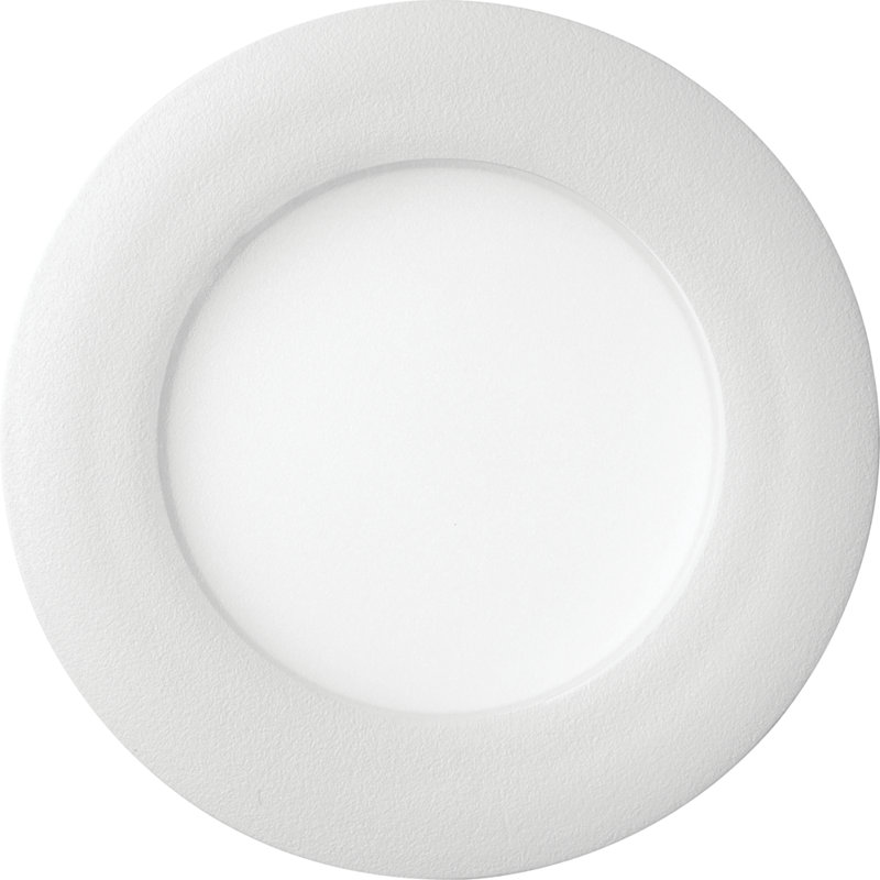5'' White Aluminum Switchable LED Downlight for Indoor/Outdoor