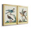 «Pastel Birds III», ensemble de 2 peintures sur toile encadrées-208302832-208302845