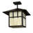Aninda Glass Semi Flush Mount