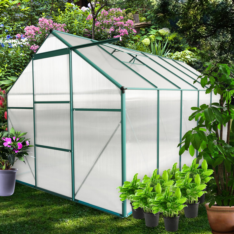 Serre extérieure de 6 pi x 10 pi avec porte coulissante pour planter un toit incliné dans la chambre de bébé pour un meilleur drainage toute l'année
