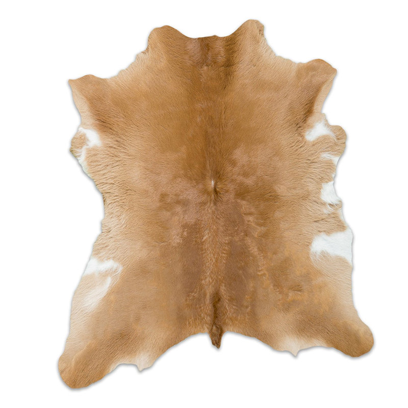Amoll Cowhide Indoor Rug