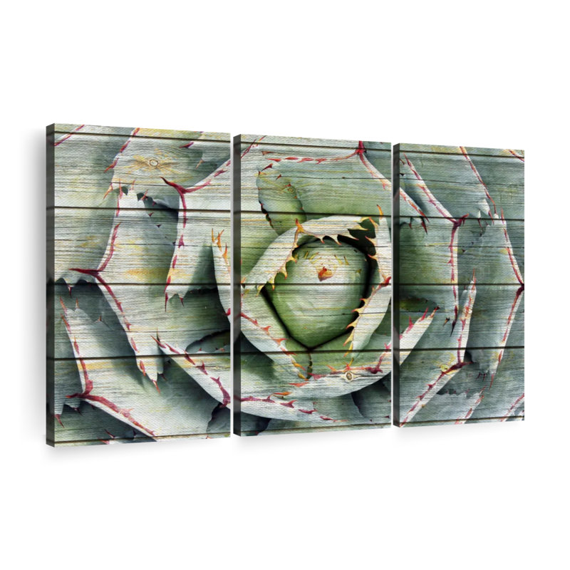 «Succulent Rustic Agave», ensemble de 3 reproductions sur toile par AppleWood Designs, H 36 po x l 57 po