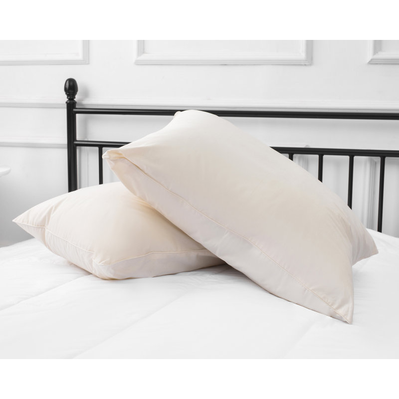 Coussin de soutien moyen à plumes Dona, Très grand