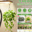 Support pour plante d'intérieur à 9 niveaux avec culture, présentoir en métal de grand style pour plusieurs plantes au balcon, couleur noyer et noir, plantes horizontales à tablettes ouvertes, combinaison de couleurs, orientation
