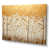 Wrapped Canvas