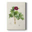 Pretty Pink Botanicals III - Gallery Cavas-1199600464