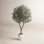 Tasmin Artificial Olive Tree in White Planter