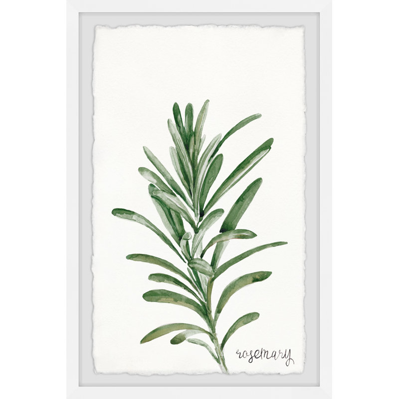 Sage And Rosemary - Single Picture Frame Painting, 45cm H x 38cm W x 3.81cm D