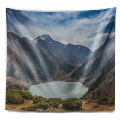 Polyester Tapestry