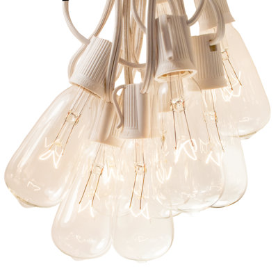 Edison String Lights Outdoor 25 - Bulb 25'' Plug-in String Light