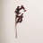 Artificial Weeping Thistle Christmas Spray - 41" - Red