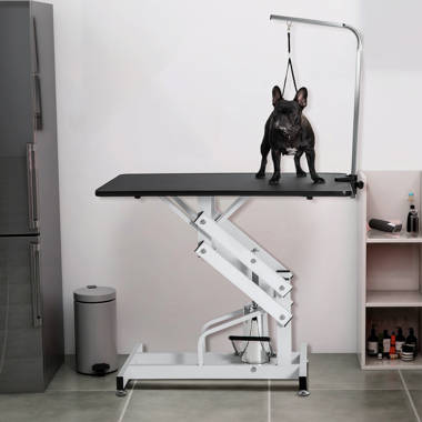 Hydraulic Adjustable Pet Dog Grooming Table with 1 Noose