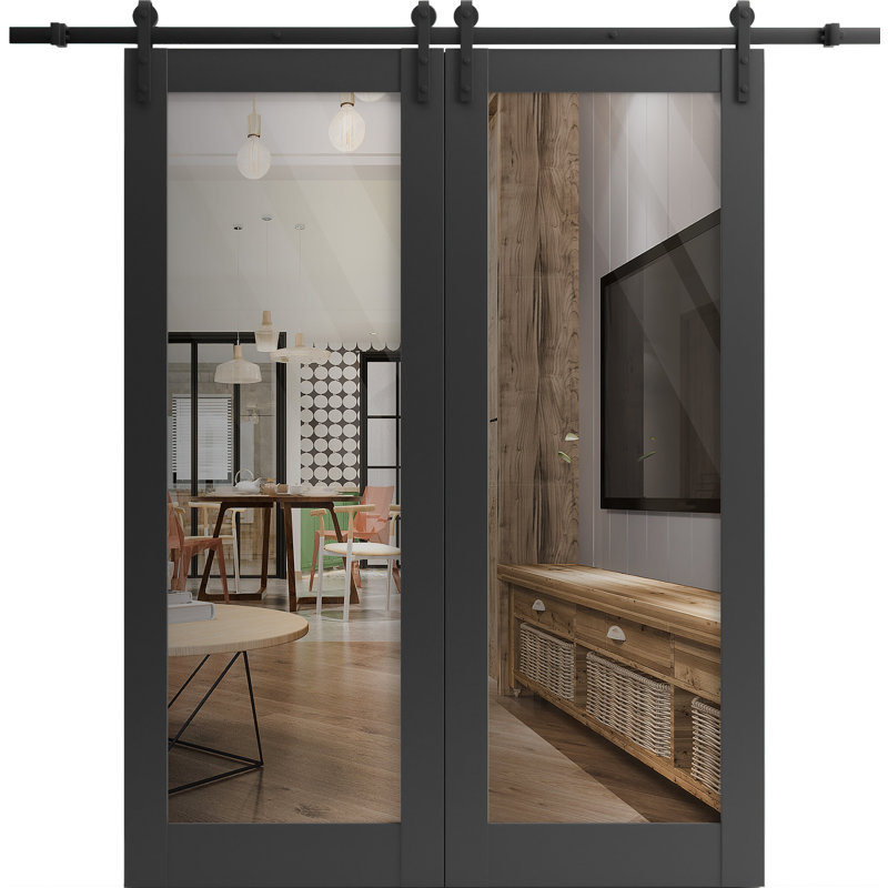 Porte de grange double robuste avec vitrage clair Lucia 2166, rails noirs mats de 4 m (13 pi), porte intérieure à panneaux pleins et lourds, 122 cm x 213 cm (48 po x 84 po) (2 x 61 cm x 24 po), rail noir, vitrage transparent