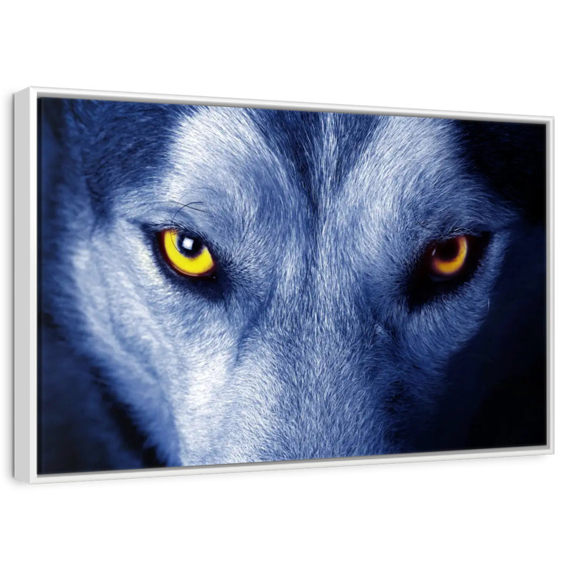 Mystic Wolf Eye, Cadre flottant blanc, 19 po x 13 po