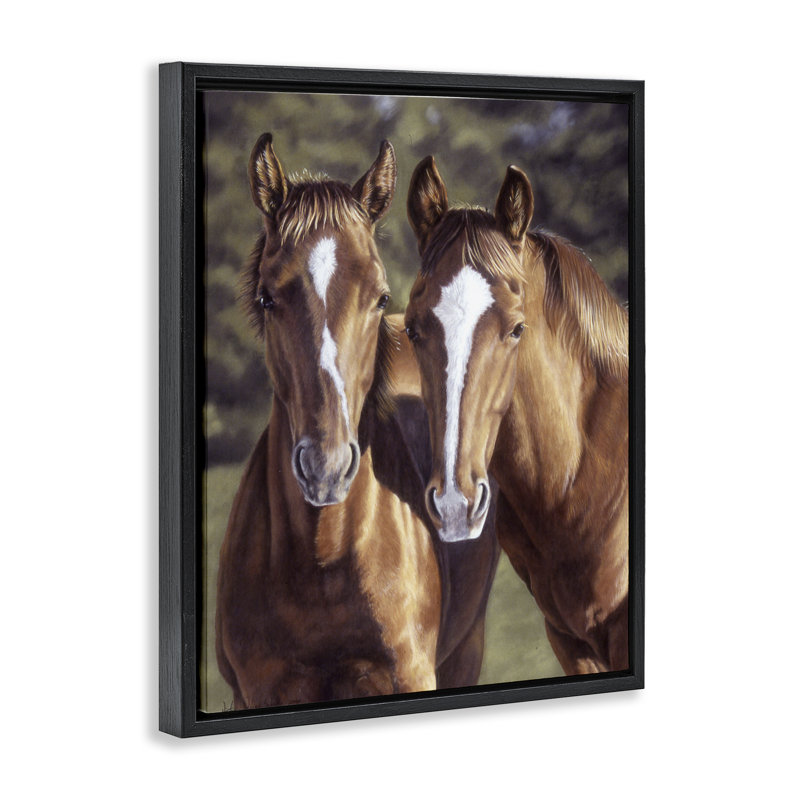 "Brown Horse pair", art mural encadré par Victoria Schultz, Cadre flottant noir de jais, H 21 po x l 17 po