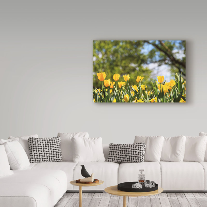 Modern & Contemporary, 22" H x 32" W x 2" D