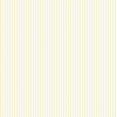 1000cm x 50cm Matte Wallpaper Roll