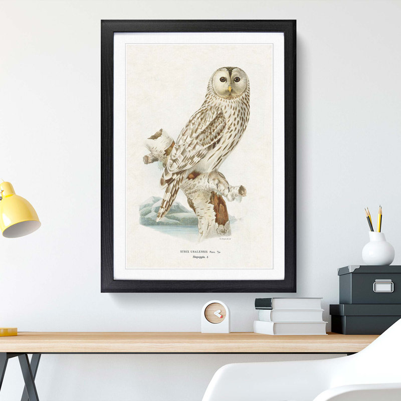 Ural Owl by Von Wright - Picture Frame Graphic Art Print, 48cm H x 36cm W x 2cm D, Black Framed