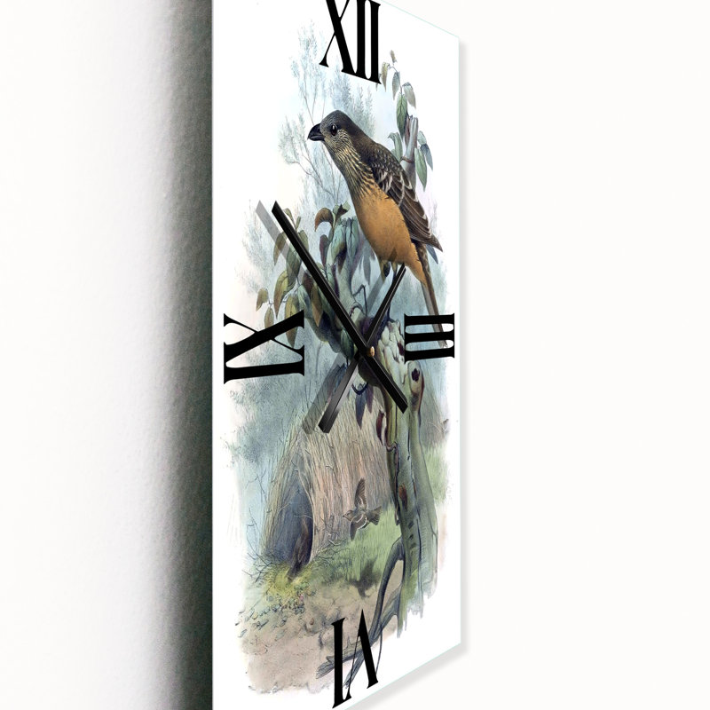 Une monographie des oiseaux du paradis - Horloge murale traditionnelle, Petit