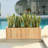 Barros Solid Cedar Rectangular Planter Box with Drainage Holes-2089439587-2088857658