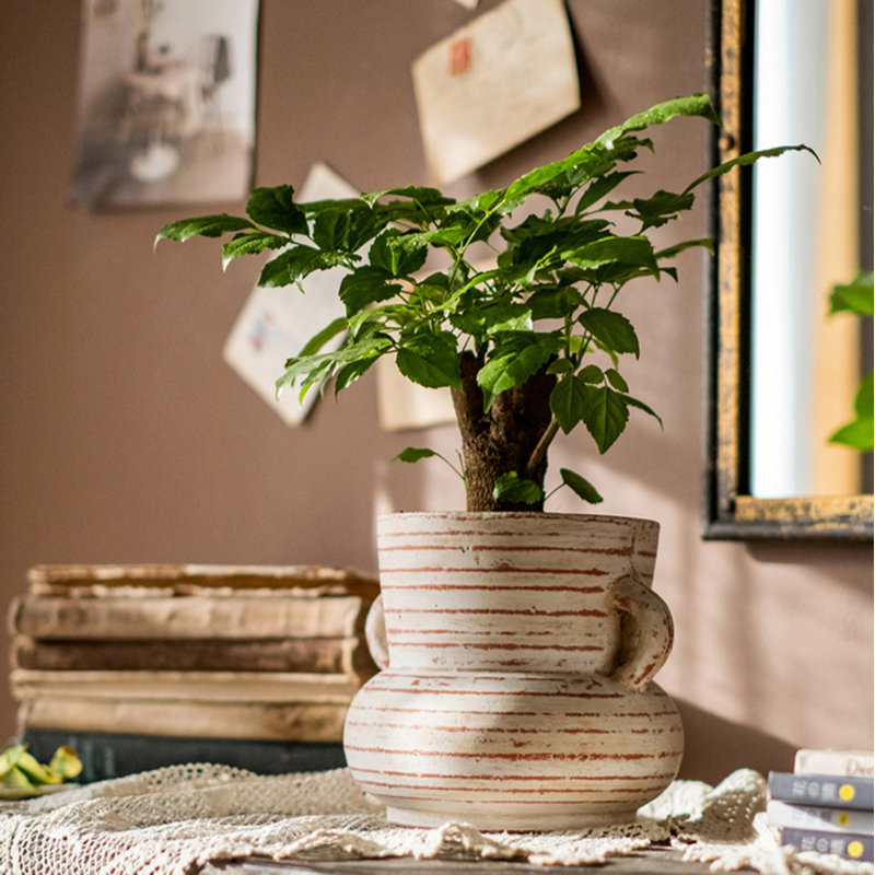 Vase de table en terre cuite Januell, H 5,9 po x l 5,5 po x P 7,3 po