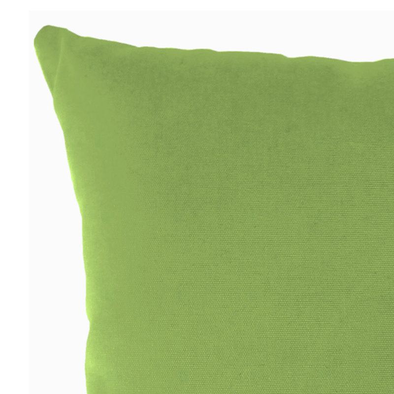 Sunbrella Outdoor Throw Pillow, Canvas Gingko