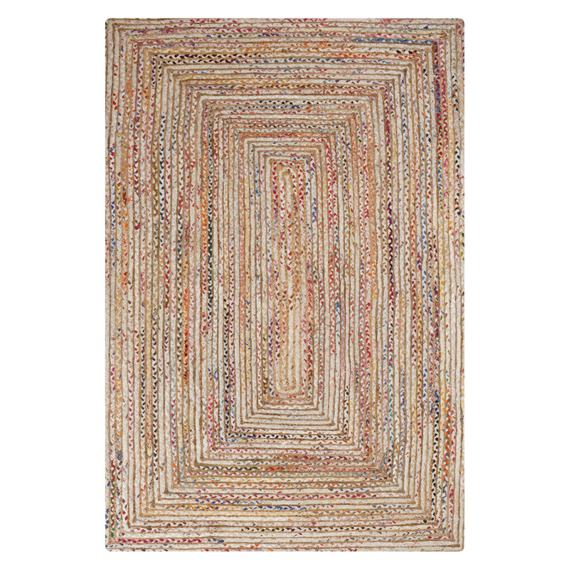 Hand Braided Cotton & Jute Contemporary Light Multicolor Indoor / Outdoor Rectangle Area Rugs, Rectangle 4'x6'