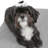 Polyester Pet Bed-72074049