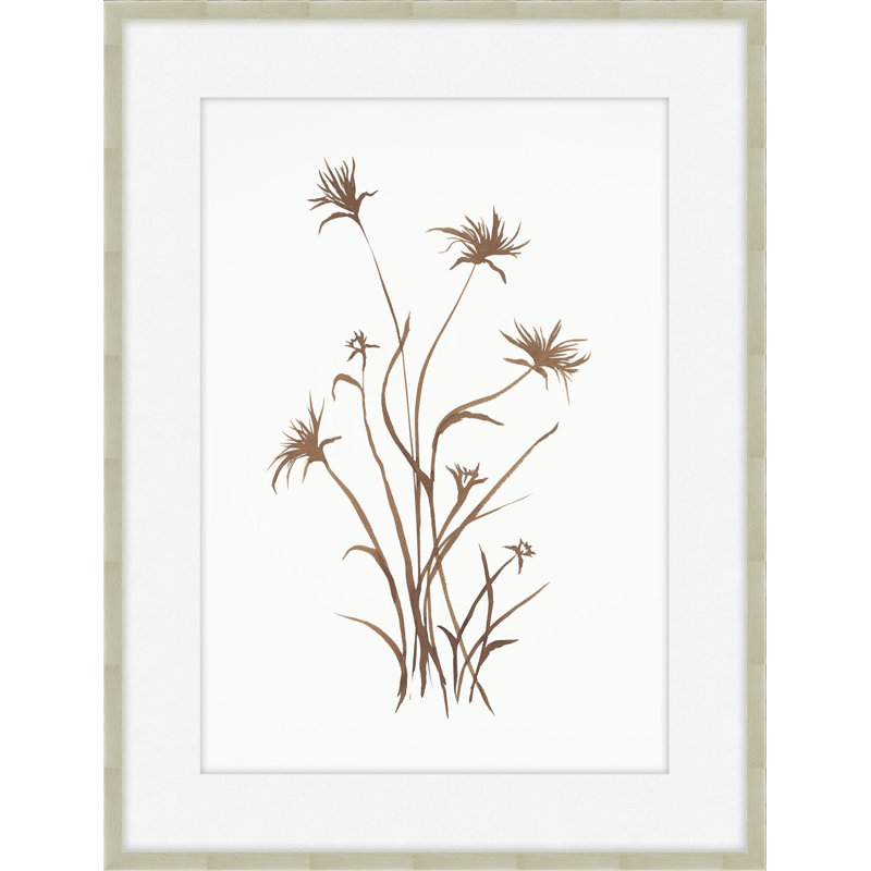 Plants & Flowers Print by Phoebe Williams, 40.75" H x 31.75" W