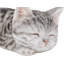 Statue de chaton tigré endormi-209440240