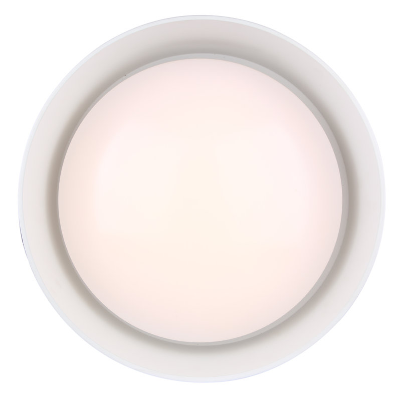 LED Flush Mount