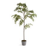 84'' Faux Maple Tree Tree in Ceramic Pot