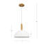 Luminaire suspendu dôme 1 lumière moderne-1107288272-1107288275