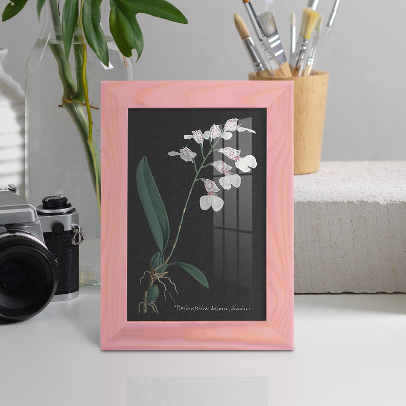 Orchidée sur ardoise VI - impression d'un seul cadre photo, H 6 po x l 4 po x P 1 po, Rose