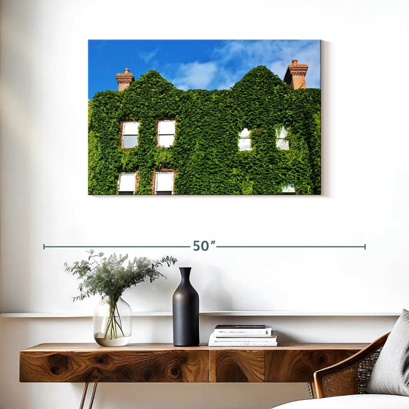 Plant Covered House, 24" H x 36" W