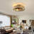 Karnisha 19.6'' Ceiling Fan with Light Kit